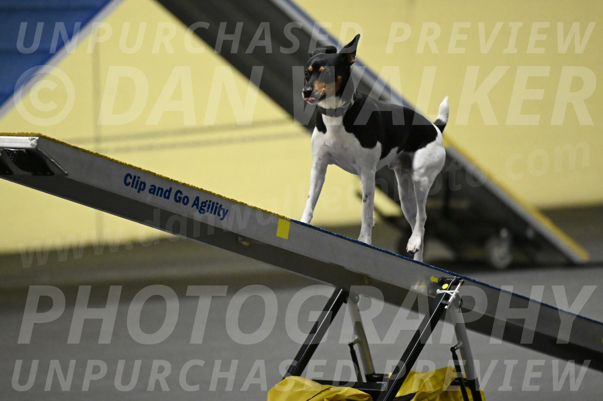 Denver-McGinty-01960