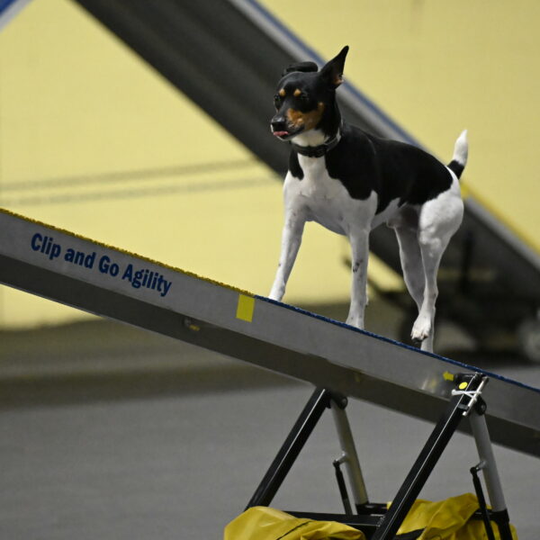 Denver-McGinty-01960