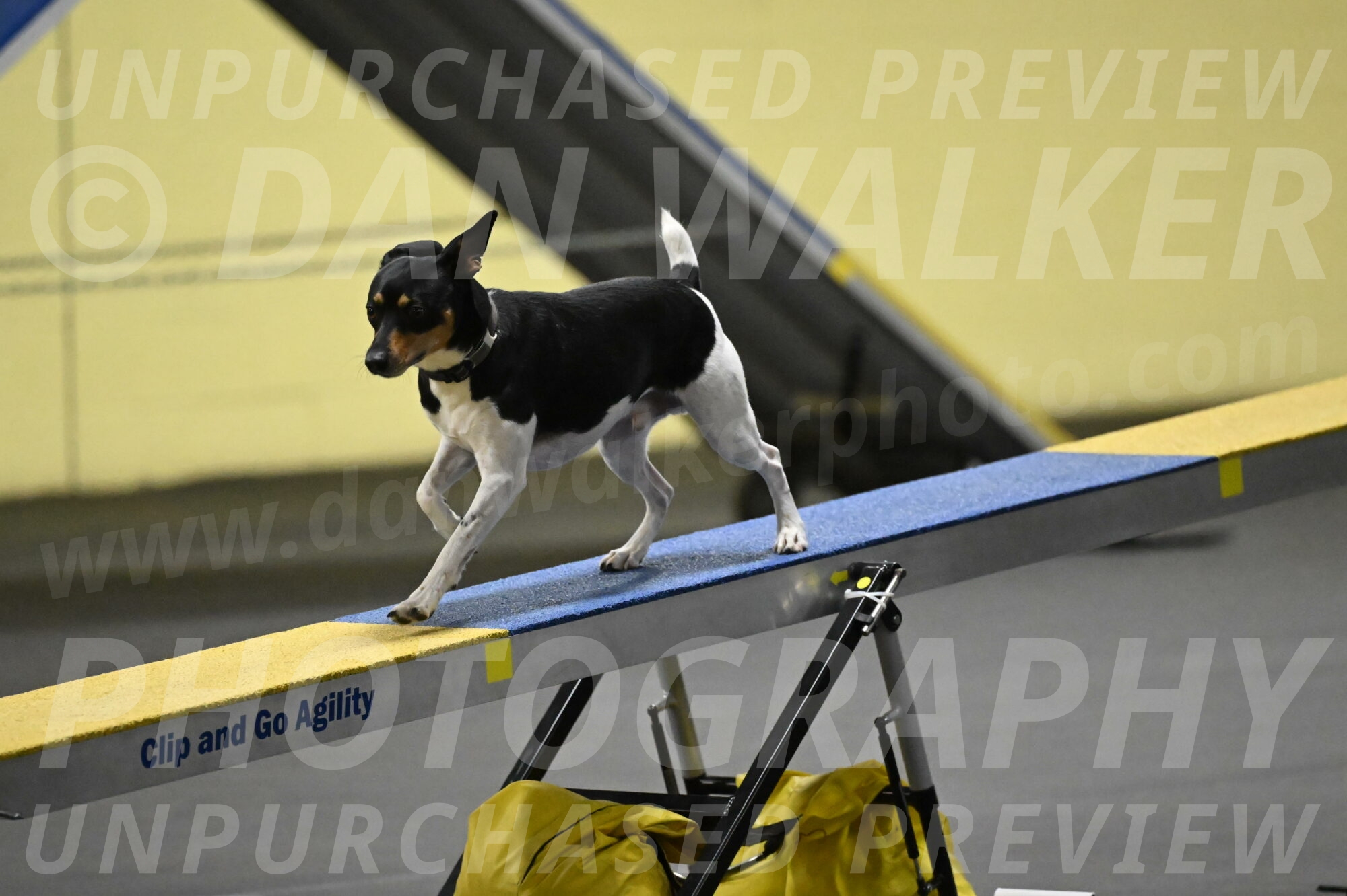 Denver-McGinty-01966