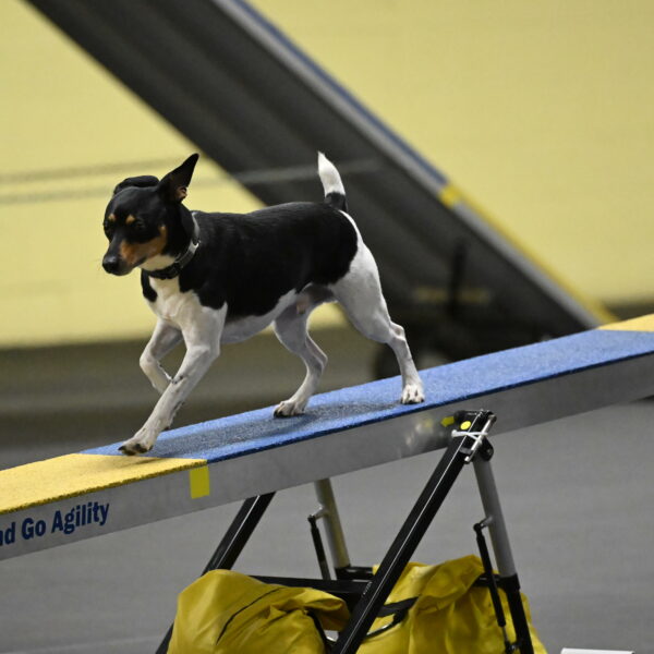 Denver-McGinty-01966