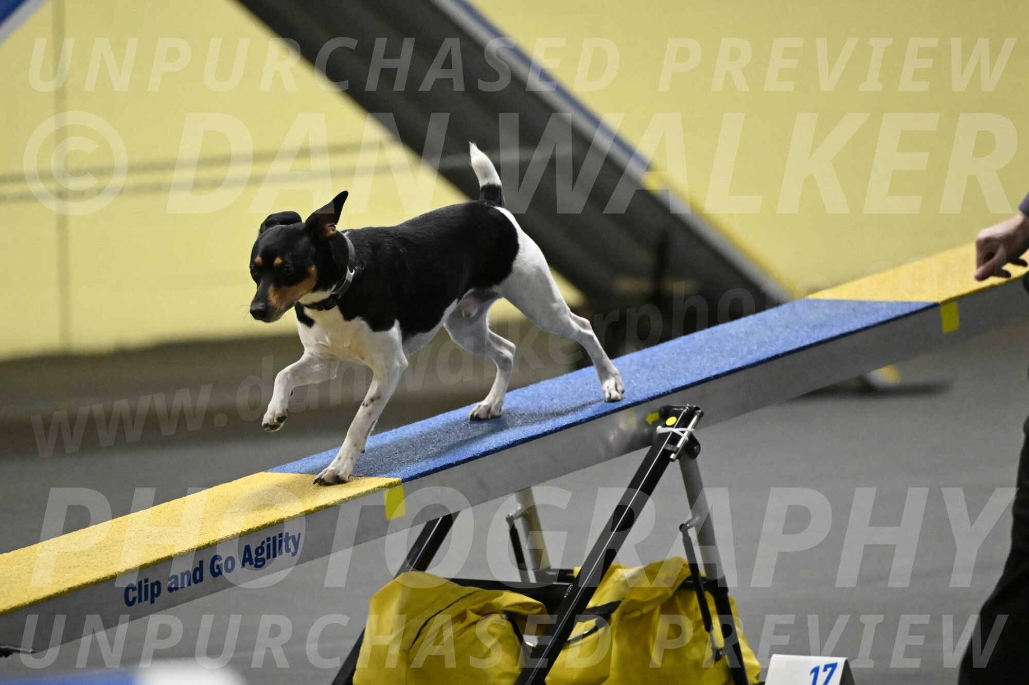 Denver-McGinty-01967