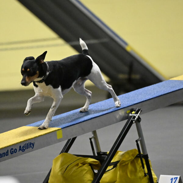 Denver-McGinty-01967