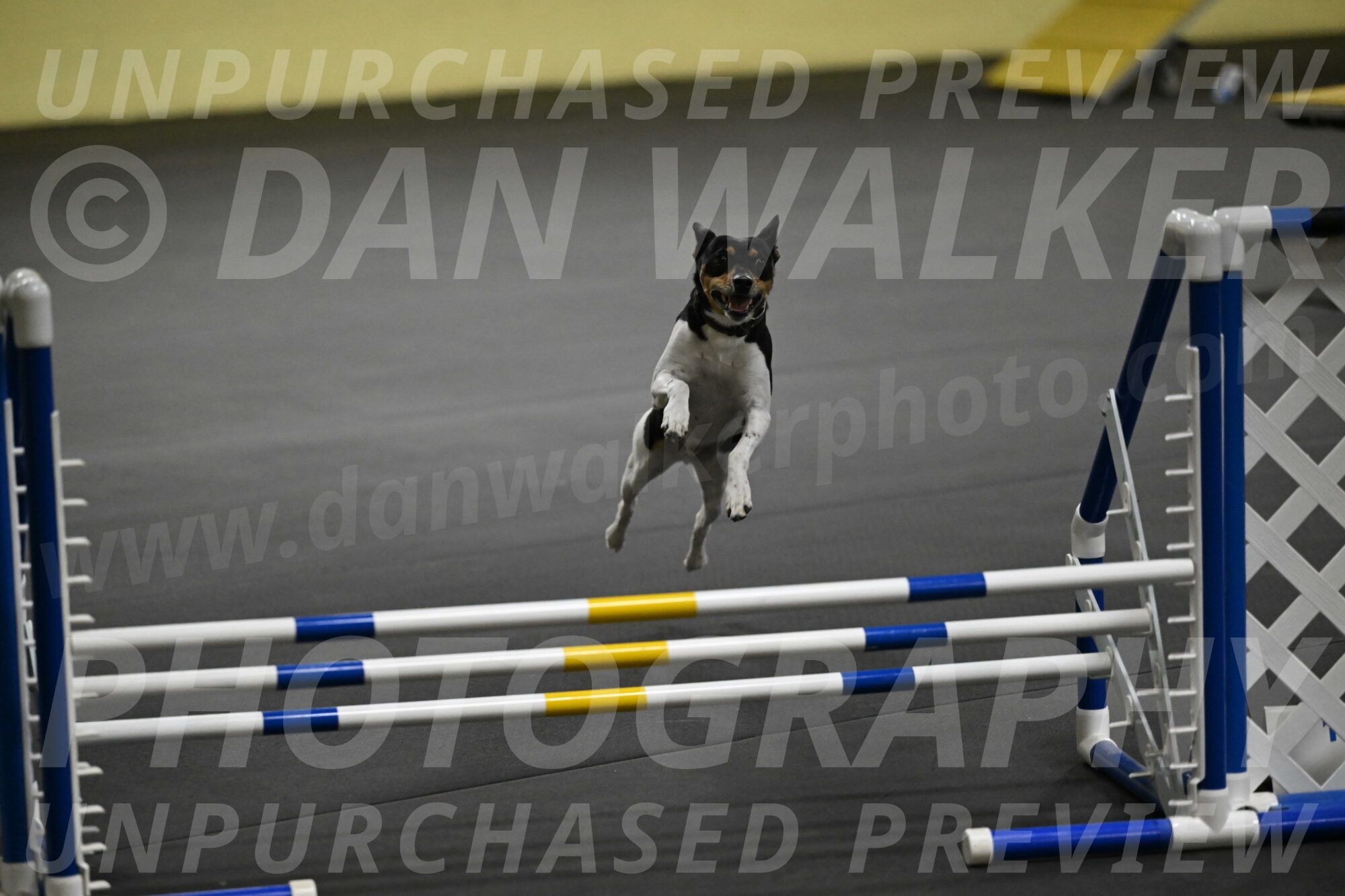 Denver-McGinty-01969