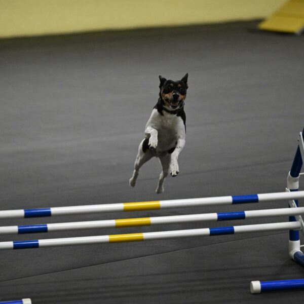 Denver-McGinty-01969