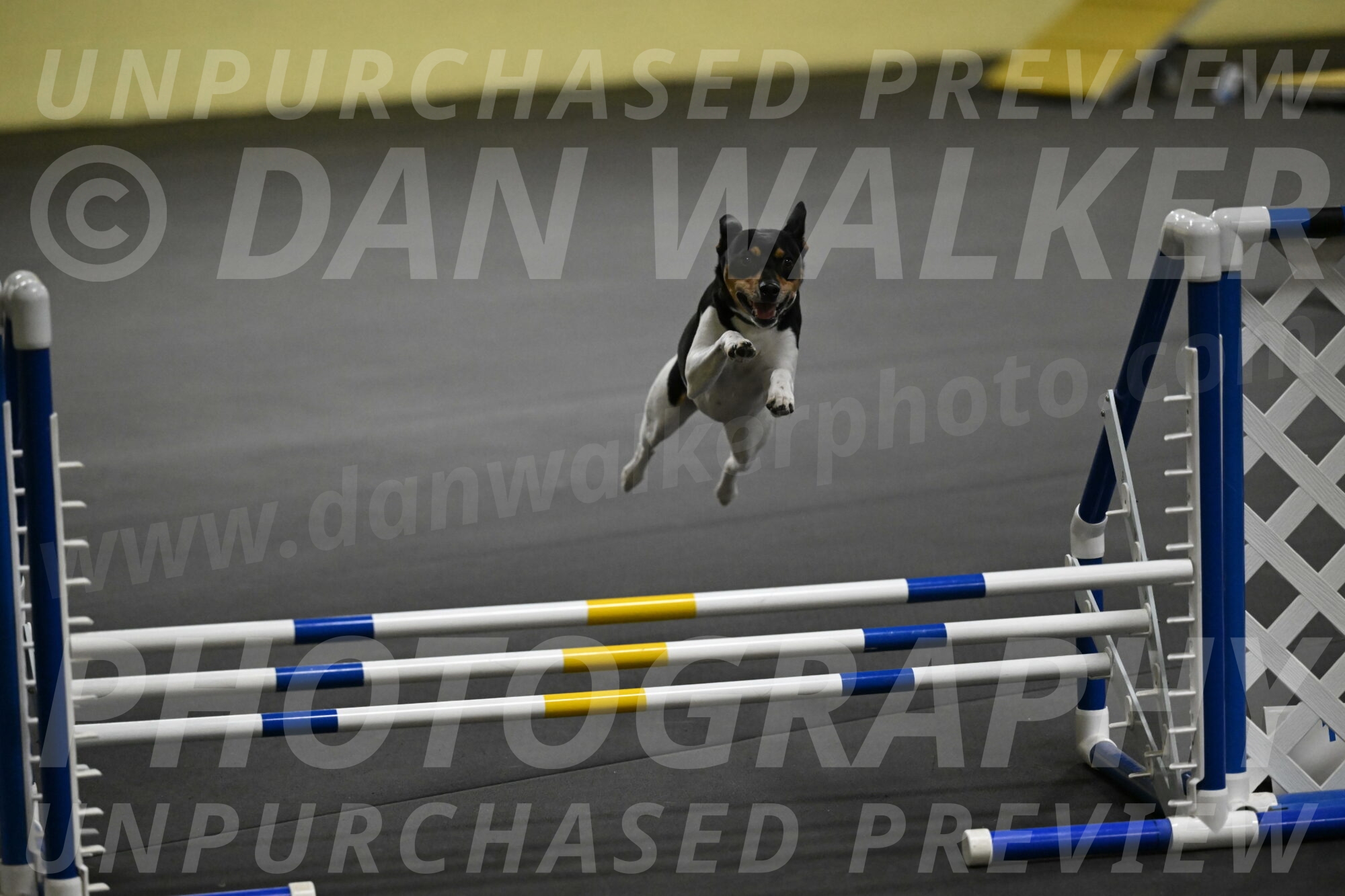 Denver-McGinty-01970