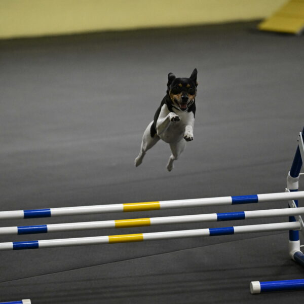 Denver-McGinty-01970