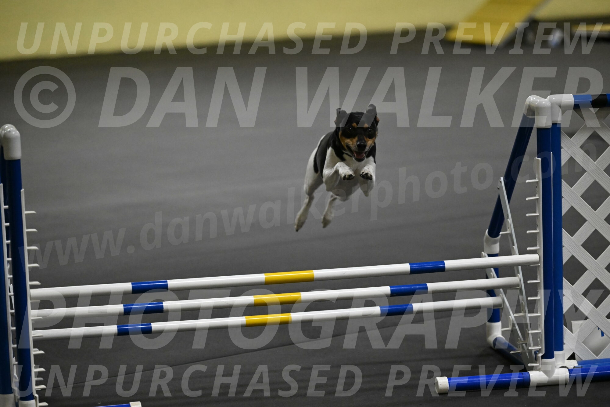 Denver-McGinty-01971