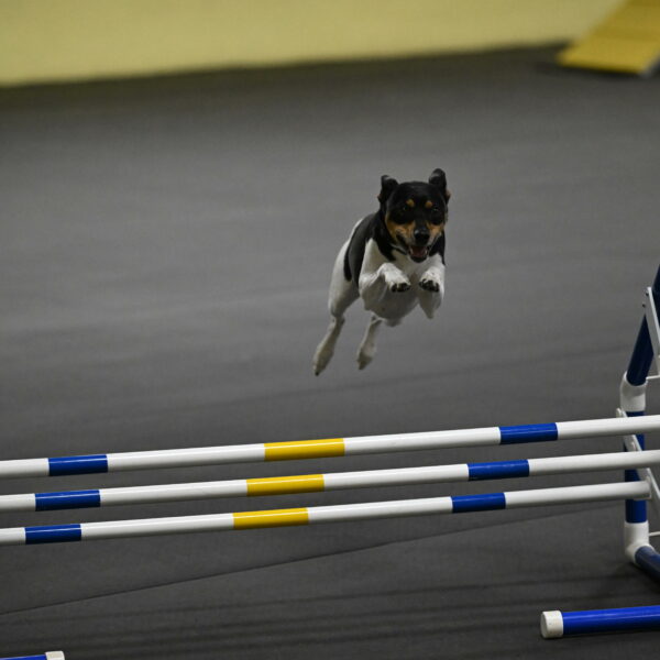 Denver-McGinty-01971