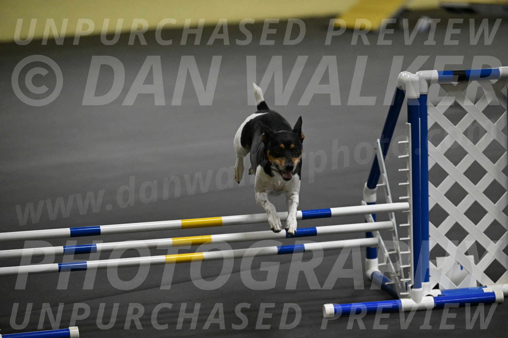 Denver-McGinty-01973