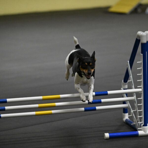 Denver-McGinty-01973