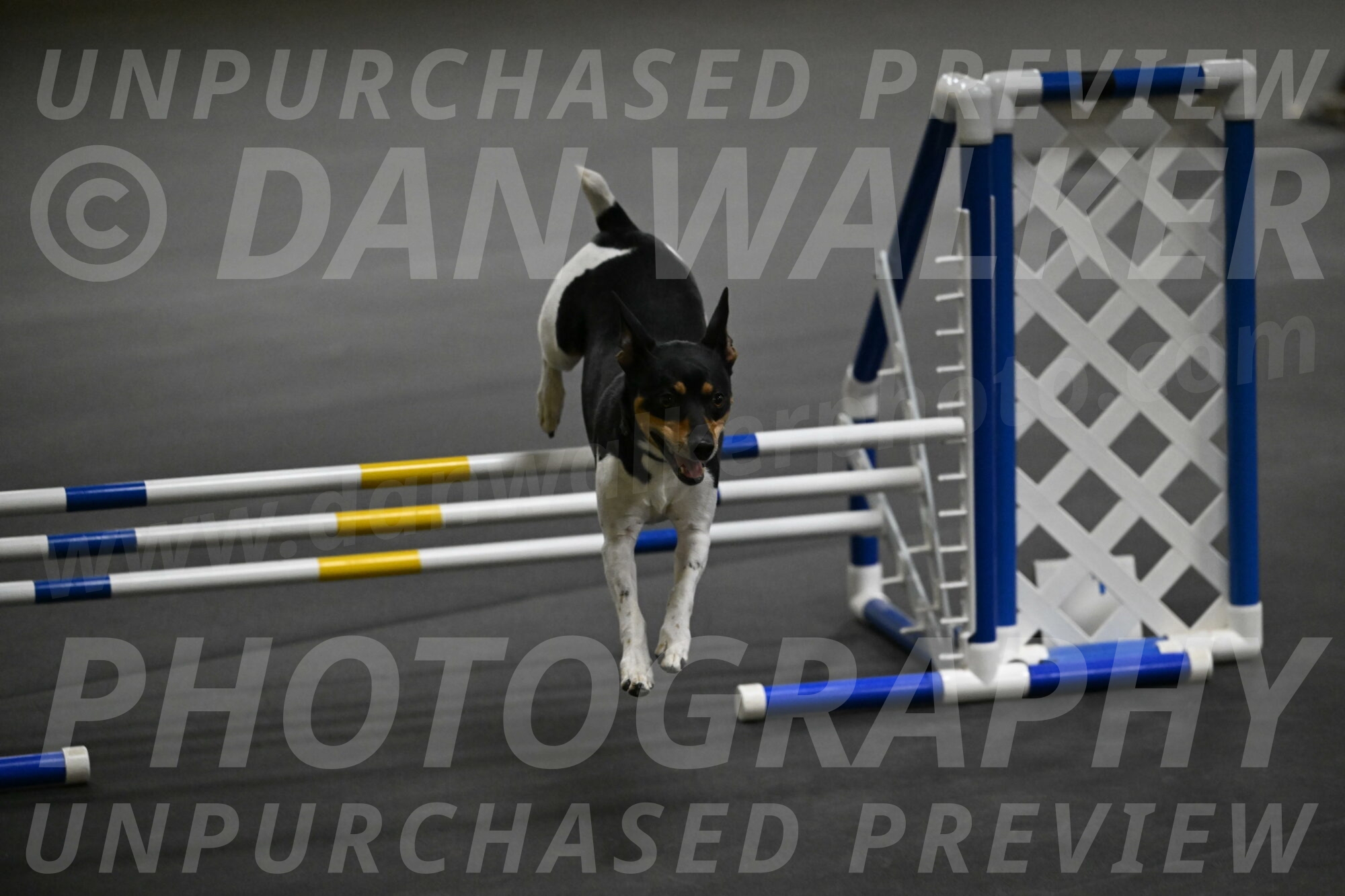 Denver-McGinty-01974