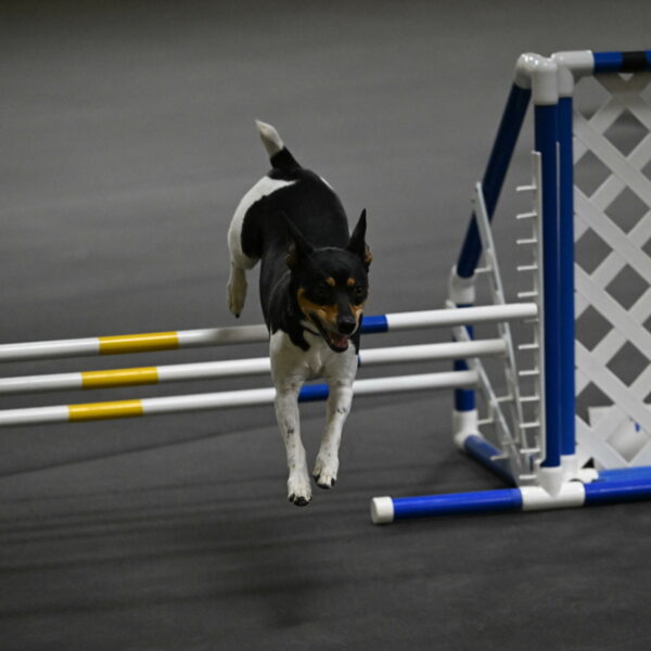 Denver-McGinty-01974