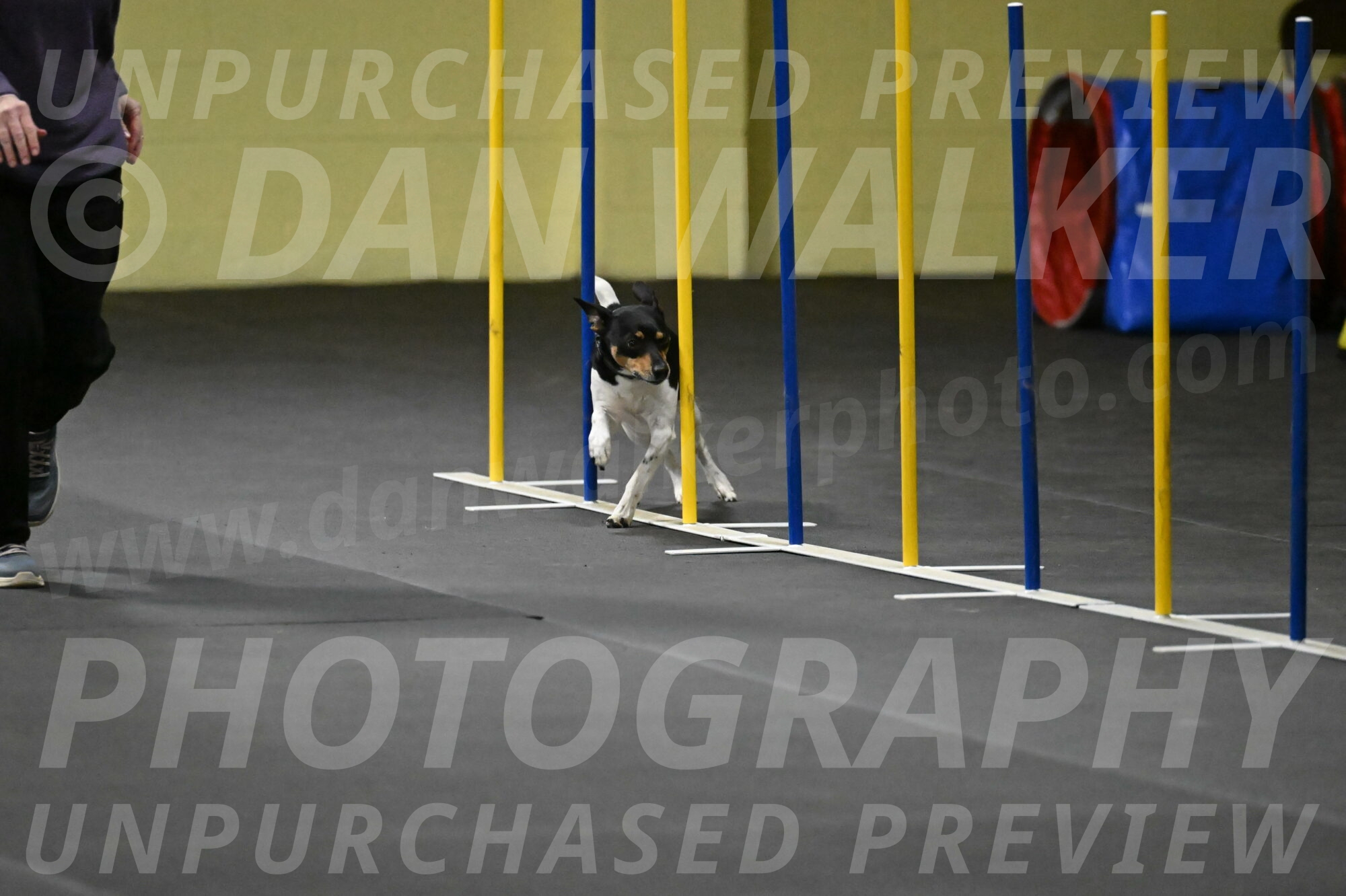 Denver-McGinty-01983