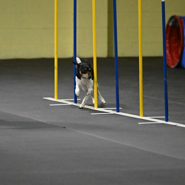 Denver-McGinty-01983