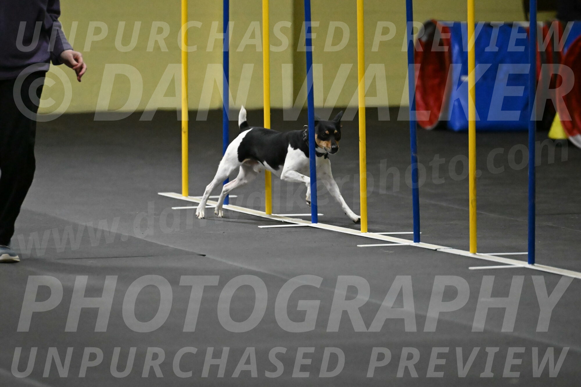 Denver-McGinty-01987