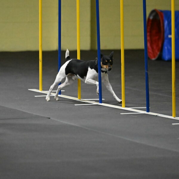 Denver-McGinty-01987