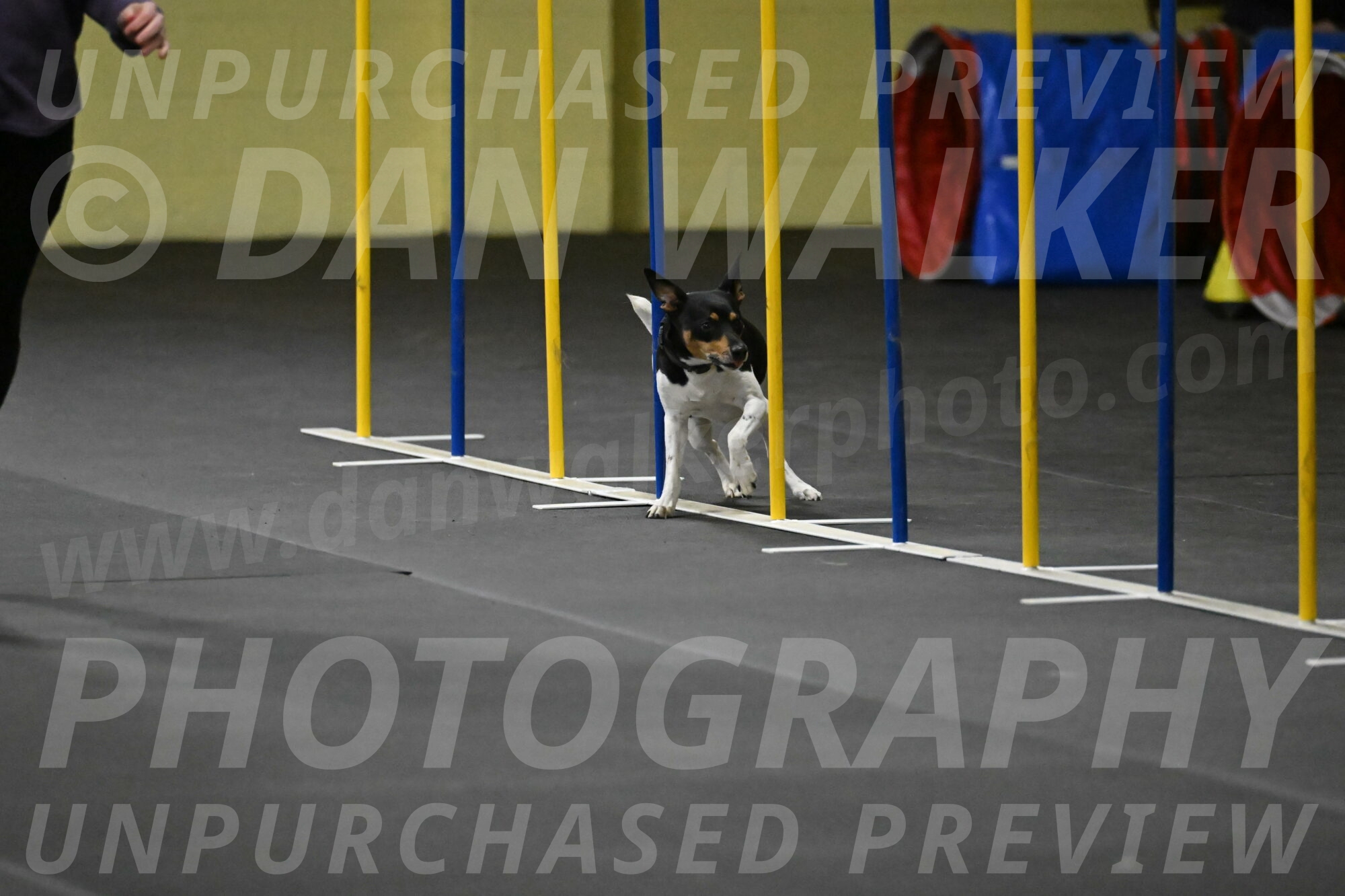 Denver-McGinty-01990