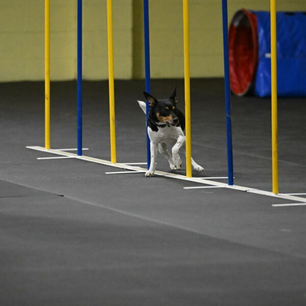 Denver-McGinty-01990