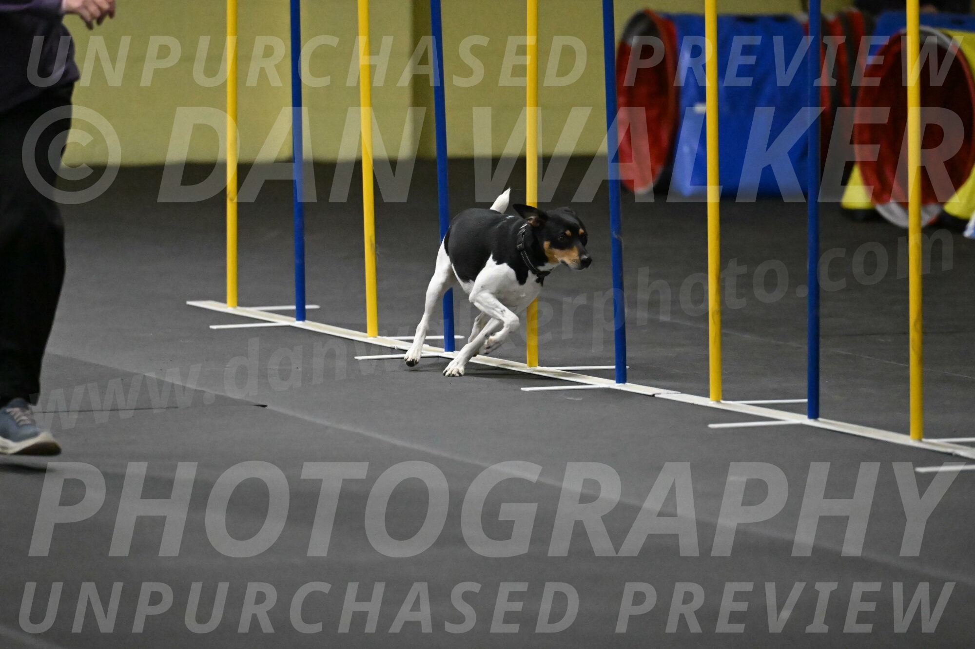 Denver-McGinty-01993