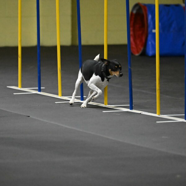 Denver-McGinty-01993