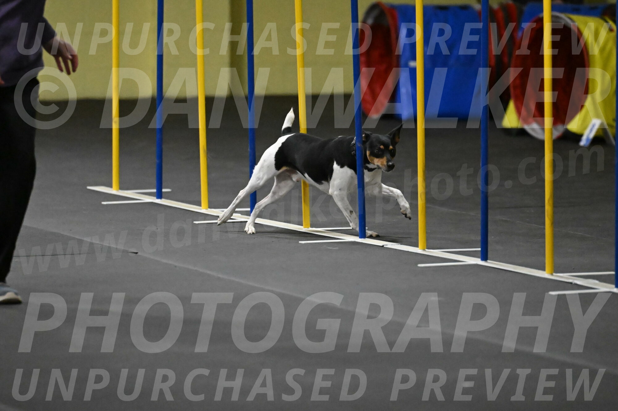 Denver-McGinty-01995