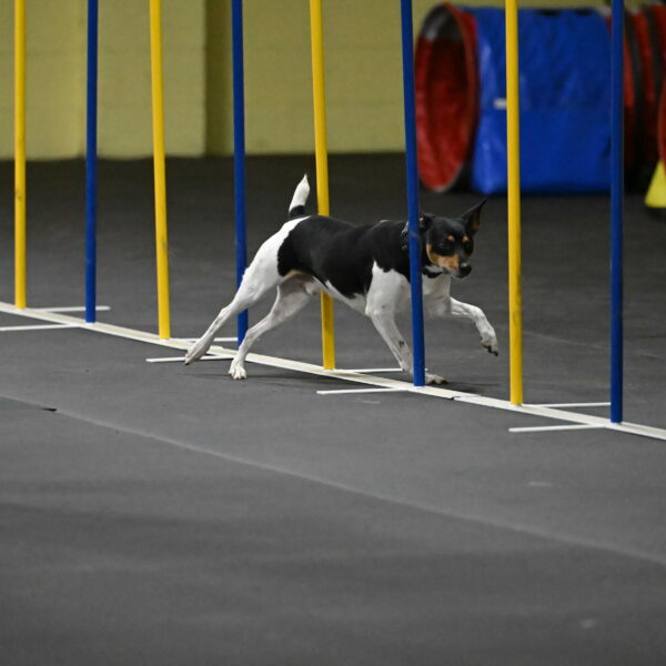 Denver-McGinty-01995