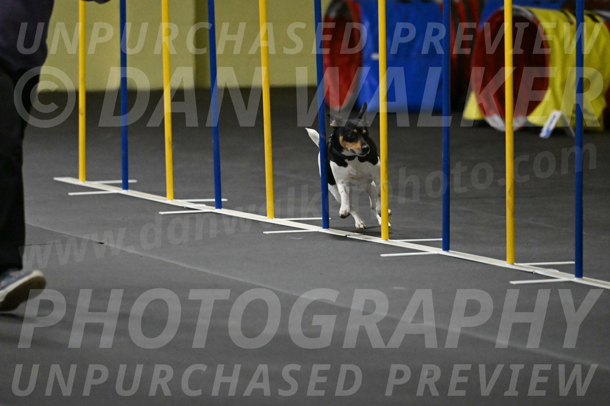 Denver-McGinty-01998