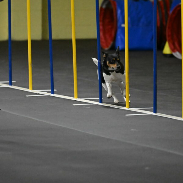 Denver-McGinty-01998