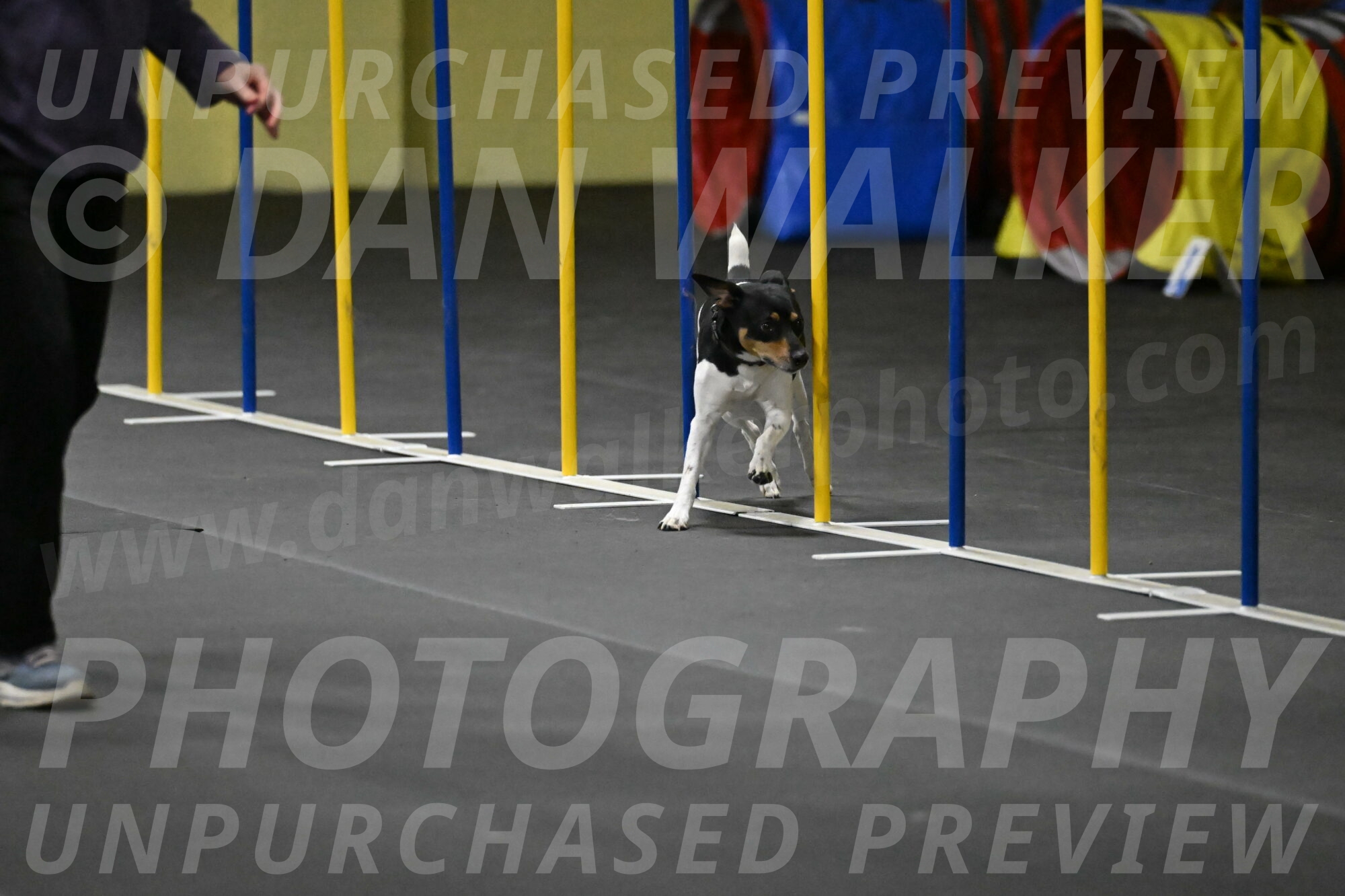 Denver-McGinty-01999