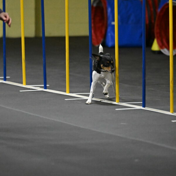 Denver-McGinty-01999