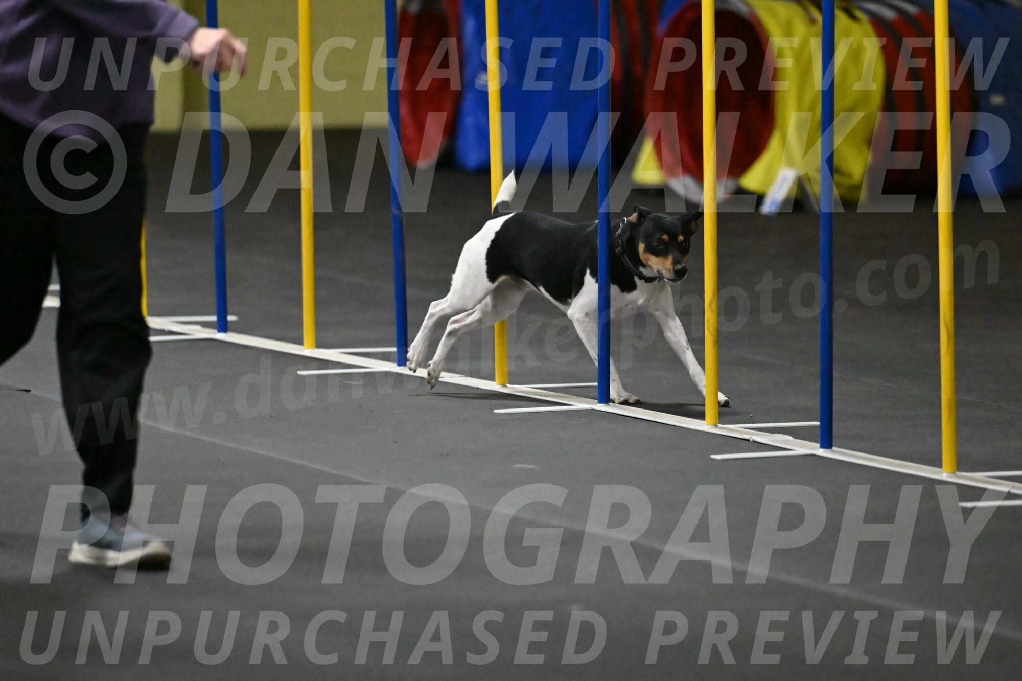 Denver-McGinty-02003