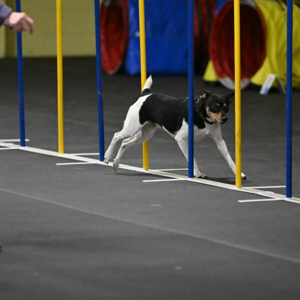 Denver-McGinty-02003