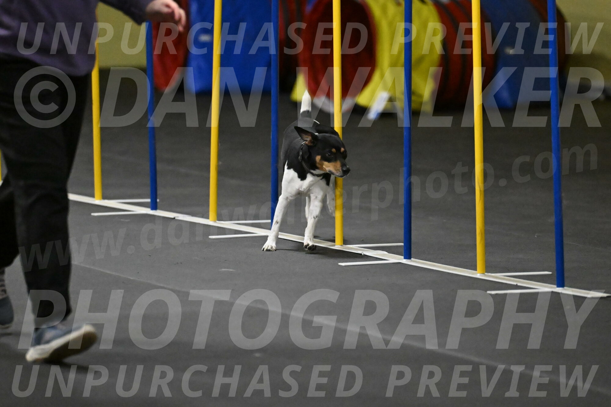 Denver-McGinty-02007