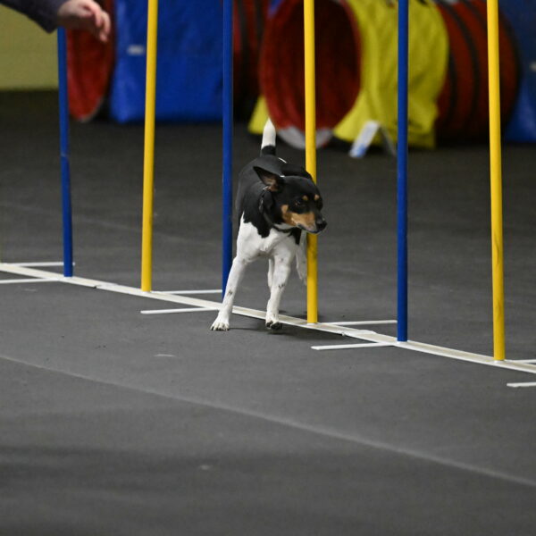 Denver-McGinty-02007