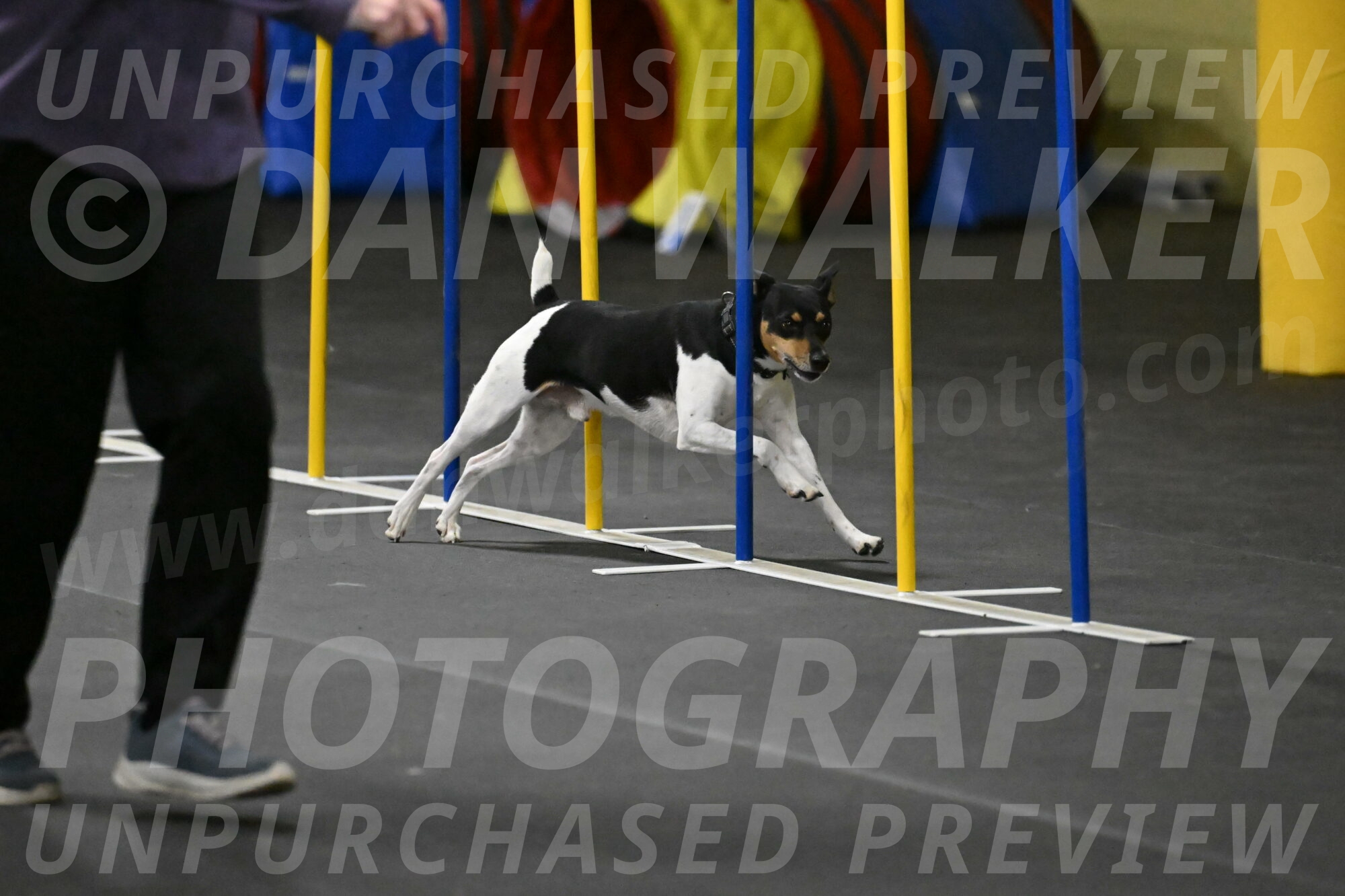 Denver-McGinty-02010