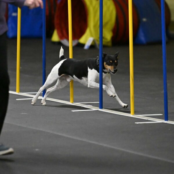 Denver-McGinty-02010