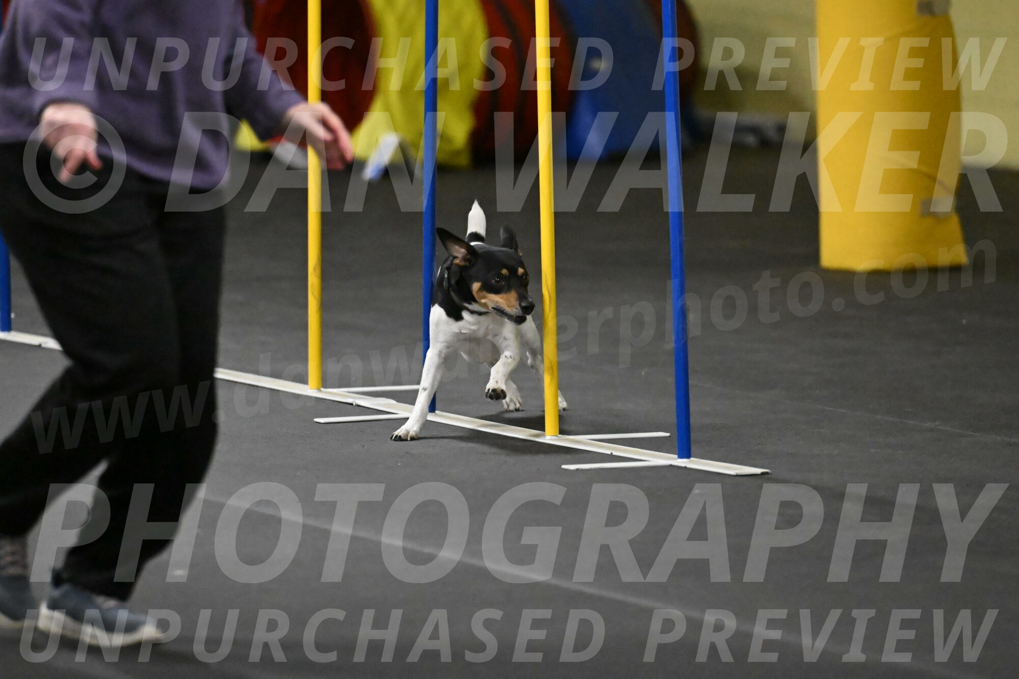 Denver-McGinty-02013