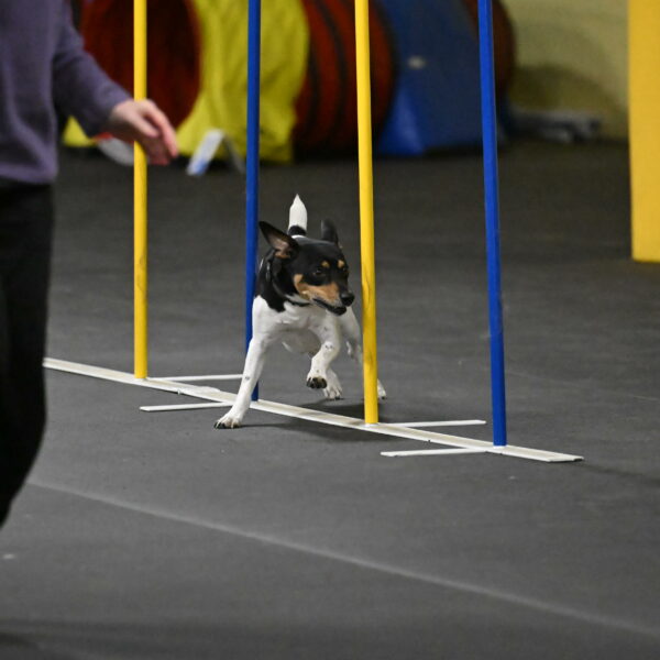 Denver-McGinty-02013