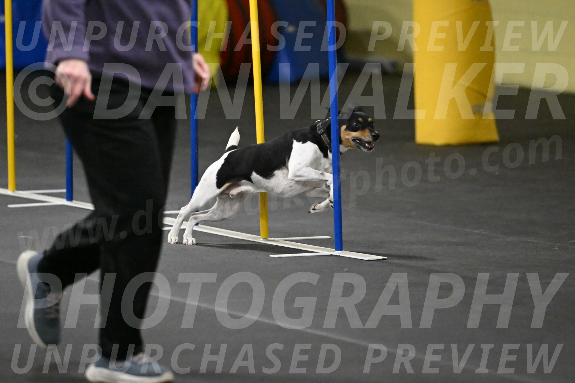 Denver-McGinty-02016