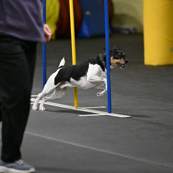 Denver-McGinty-02016