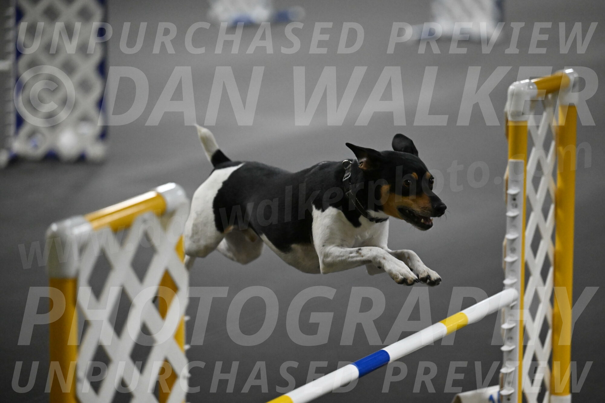 Denver-McGinty-02024