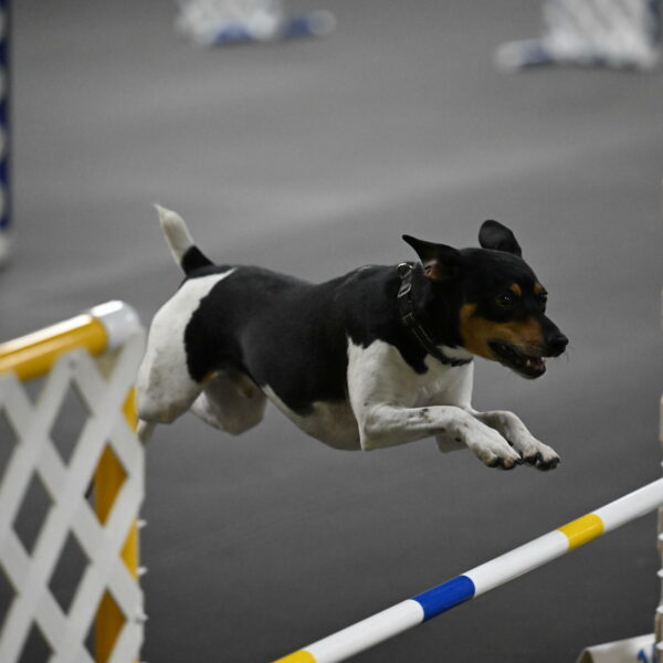 Denver-McGinty-02024