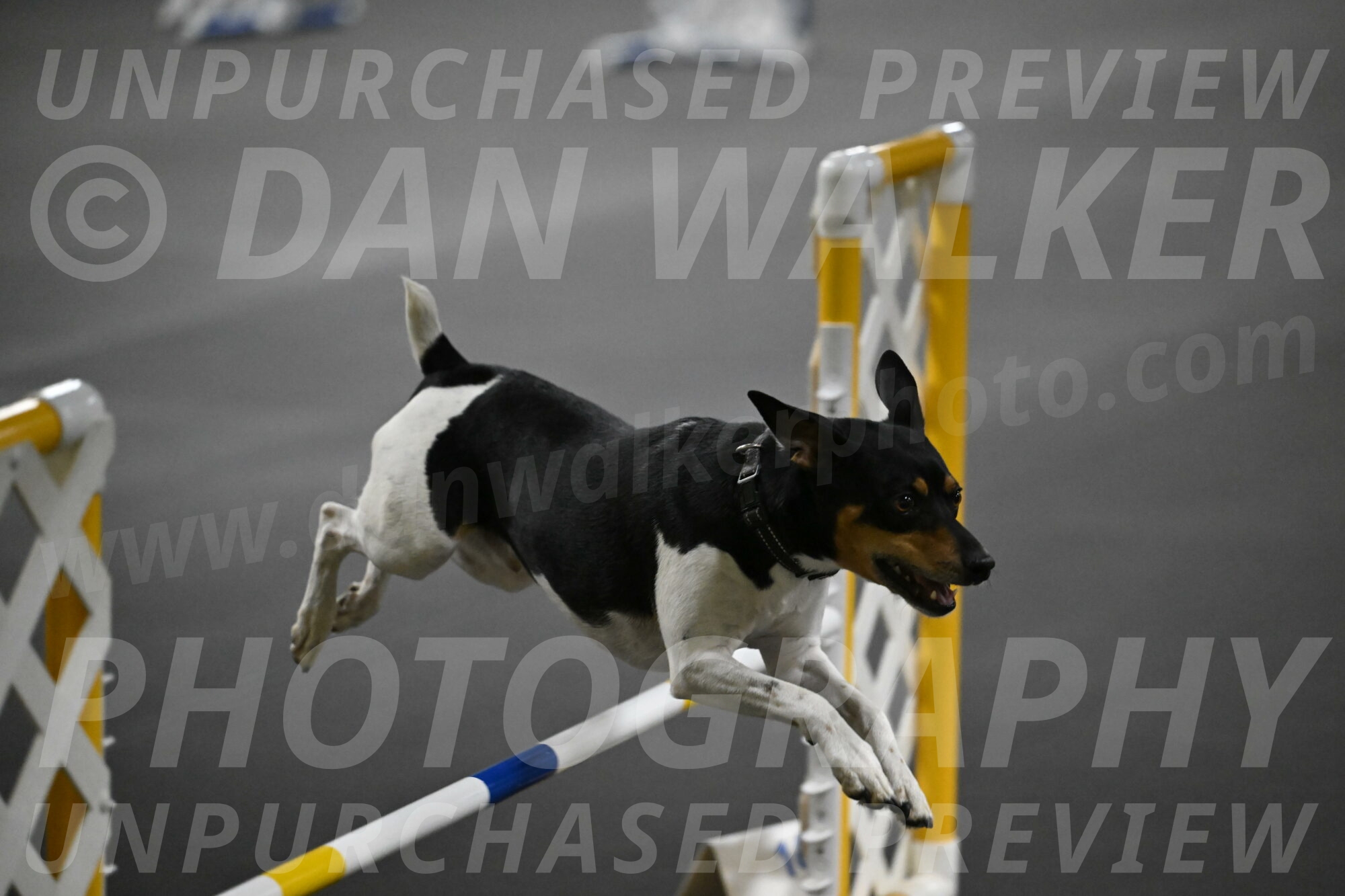 Denver-McGinty-02025