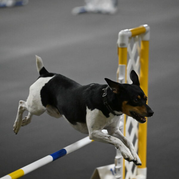 Denver-McGinty-02025