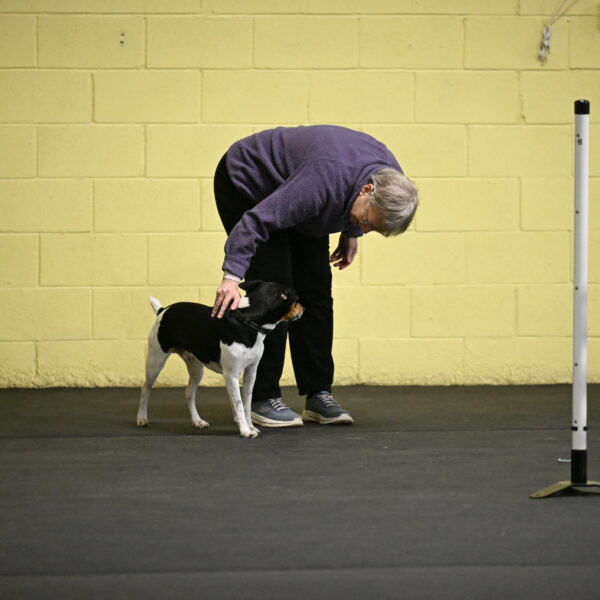 Denver-McGinty-02028