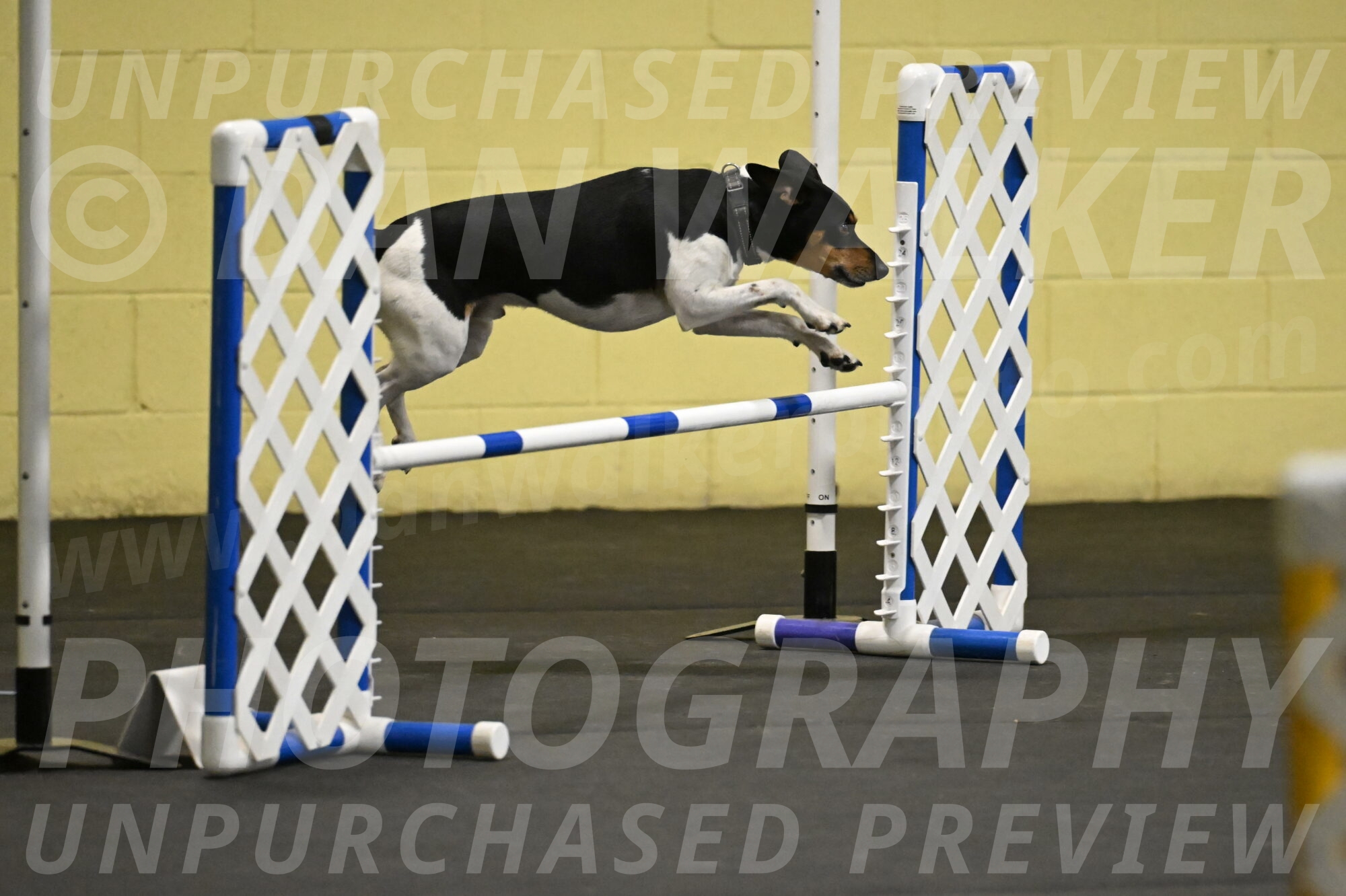 Denver-McGinty-02030