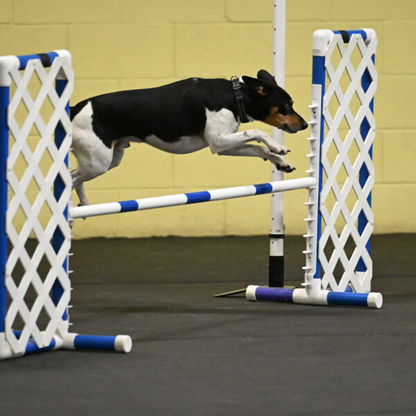 Denver-McGinty-02030