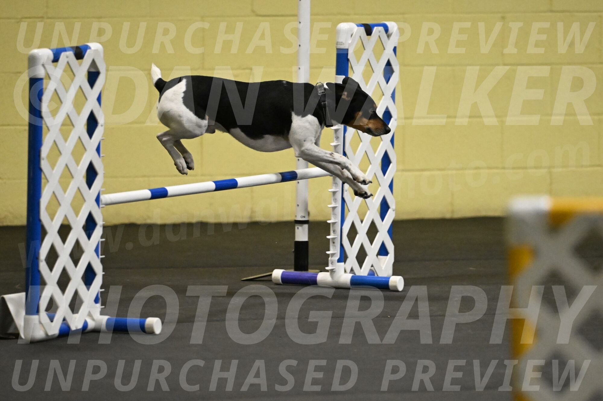 Denver-McGinty-02031