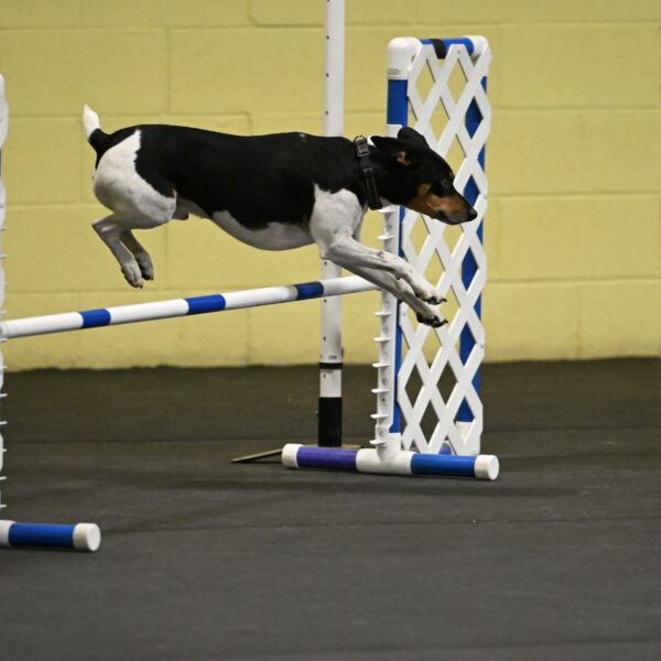 Denver-McGinty-02031