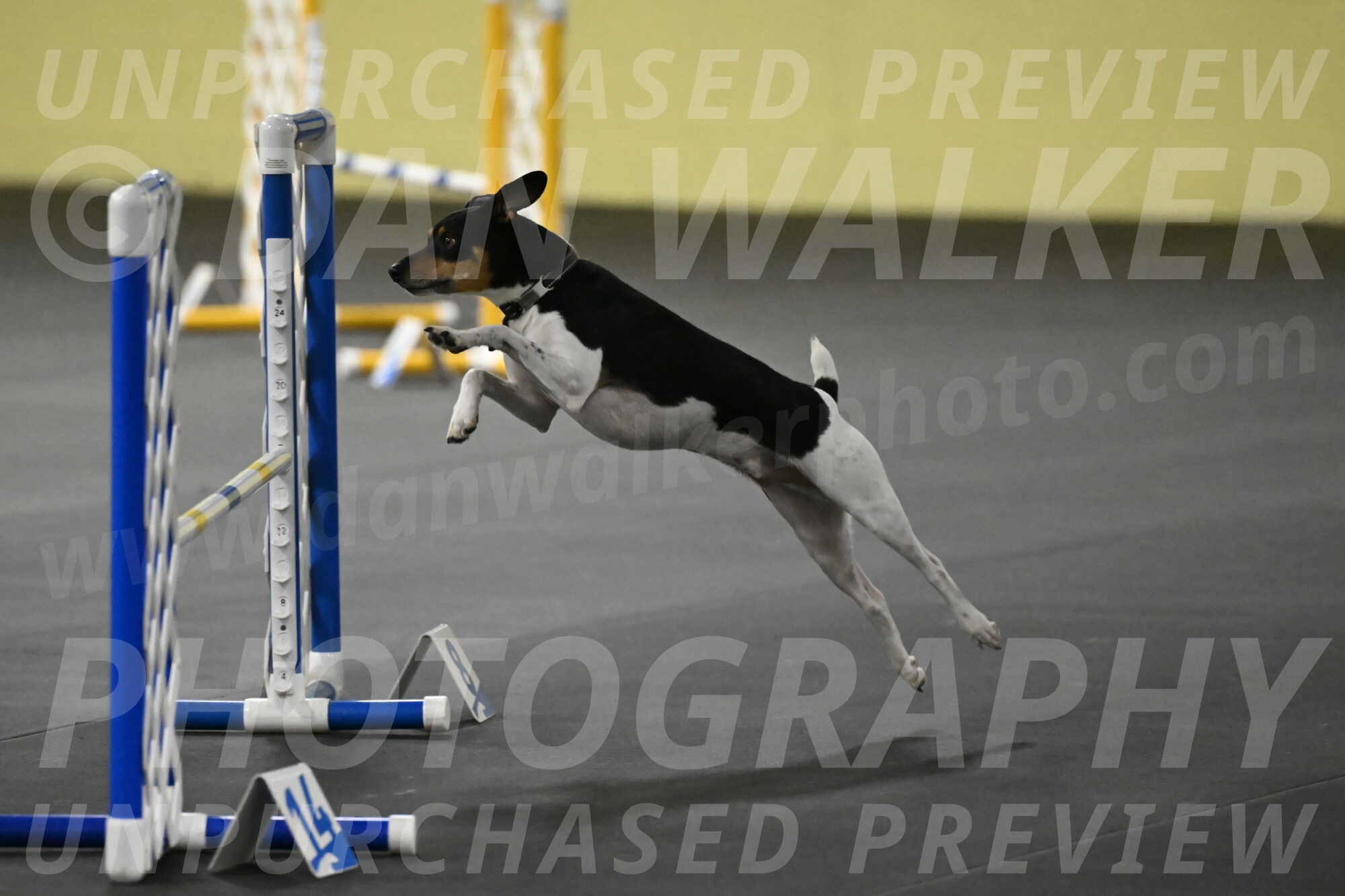 Denver-McGinty-02039